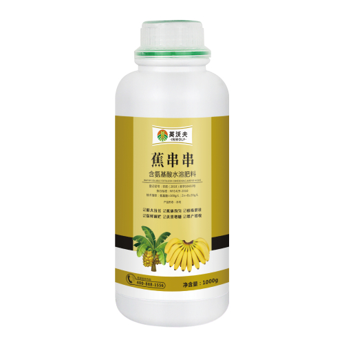 蕉串串